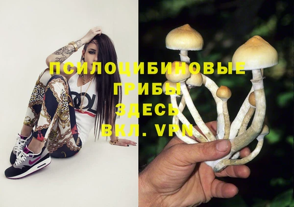 альфа пвп Баксан