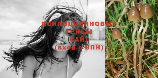 альфа пвп Баксан