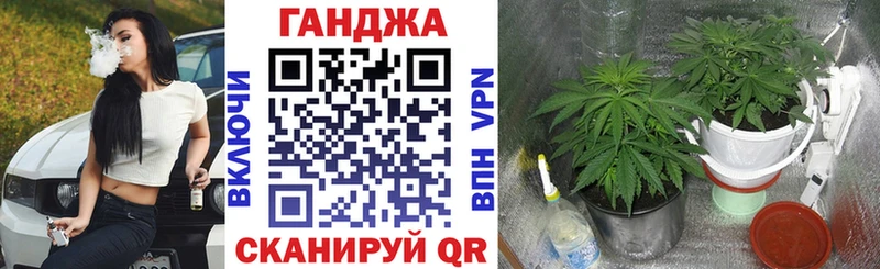 Каннабис сатива  Купить закладки  Окуловка 